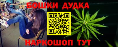 МДПВ Гатчина