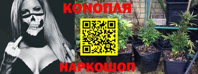 МДПВ Гатчина