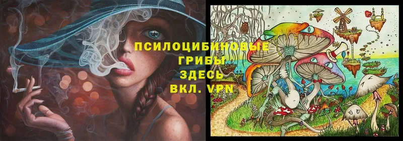 Галлюциногенные грибы Cubensis  хочу   OMG   Ефремов 