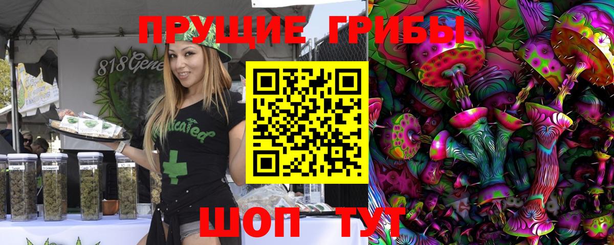 Псилоцибиновые грибы GOLDEN TEACHER Ефремов