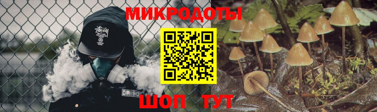 Псилоцибиновые грибы мухоморы  Ефремов 